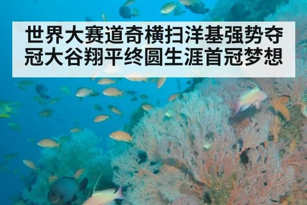世界大赛道奇横扫洋基强势夺冠大谷翔平终圆生涯首冠梦想